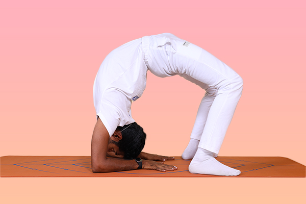 Intermediate Yoga